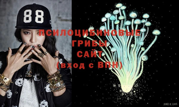 кокс Баксан