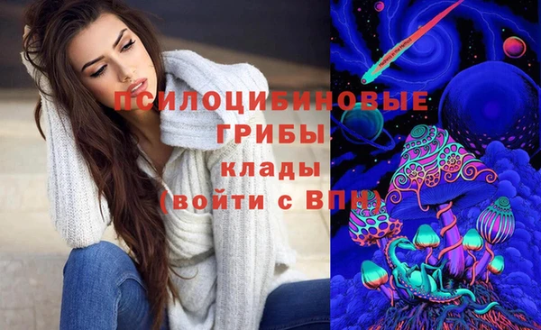 spice Михайлов