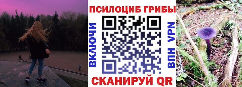 кракен зеркало  Шагонар  Галлюциногенные грибы Psilocybe  сколько стоит 